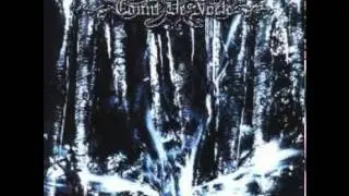 Count De Nocte  - The Proximity Of The End