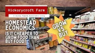 Is It Cheaper To Grow Food Than Buy Food? | Homestead Economics