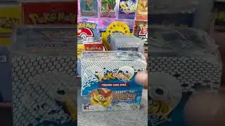 facts about the Pok&eacute;mon ser B&W Noble Victories #pokemon #pokemoncards
