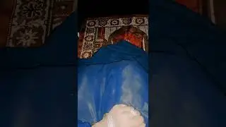 inshAllah 👍#unfrezzmyaccount #fouryourpag #views_viral_video_subscribers_grow #newsubcribe