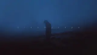 &oslash;neheart, my head is empty - voices in my head