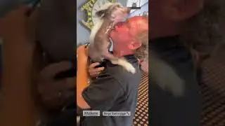 Abileene June 2:22 video 1 5e670d06eccd45bbb0bcfa78042286d1