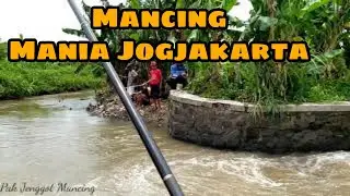🔴 Mancing mania jogjakarta || Spot menjanjikan