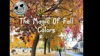 The Magic Of Fall Colors 🌿❤️#fallcolors 