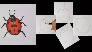 How to Draw a Ladybug | Easy ladybug drawing for beginners|