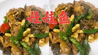 花500元买一条养殖娃娃鱼，大厨做出来太好吃了？【唐光灿美食作者】 #娃娃鱼