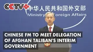 Chinese FM to Visit Qatar, Meet Delegation of Afghan Taliban's Interim Government