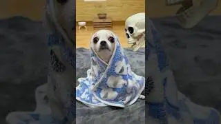 Хэллоуин 💀🎃🧙&zwj;♀️👻 #ёдаджом