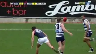 Steve Johnson Geelong Cats Montage