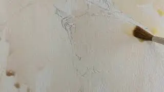 Derek Robertson - Demo sketch of a tree sparrow