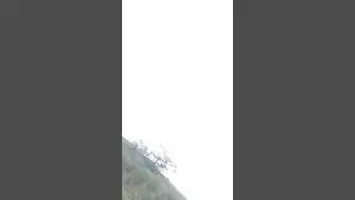 Lazando un marrano del monte