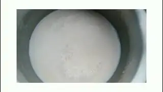 &ldquo;Homemade Vanilla Custard Recipe | Creamy, Easy & Delicious Dessert for All Occasions&rdquo;
