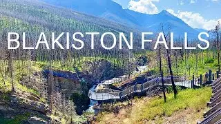 Blakiston Falls - easy short hike good for kids and adults