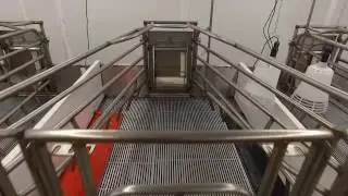 Platt Showpigs - New Facility