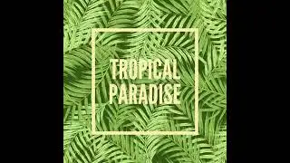 TROPICAL TECH HOUSE - (CONTROL LP)
