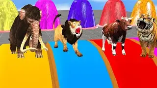 Choose The Right Slide With Gorilla Cow Mammoth Elephant Wild Animal Games Video