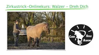 Pferdetrick Onlinekurs: Walzer - 