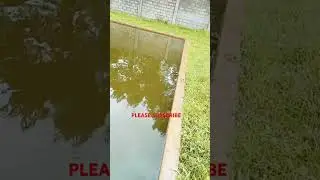 FISH HEALTH AND WATER PARAMETERS MONITORING