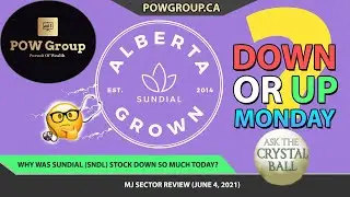 Sundial Growers Stock Up or Down Monday? | Why Was SNDL Stock Down Today? | MJ Sector Review June 4
