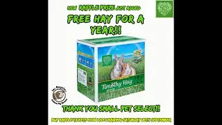 RAFFLE DAY!!  Live Drawing Today with the Guinea Pigs!!!!!!!!!!!
