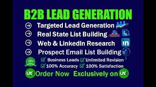 B2B Lead Generation project video | Data Collection | Email list Building | Virtual assistant