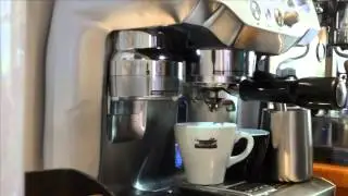 Sage Oracle Making Cappuccinos