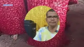 Info harga bawang merah dari pasar agropolitan, sungai nanam, kab.solok