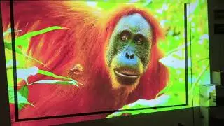 Rd intrex Projector Z-13  Daylight | 3D 4K 40000 lumens 400 inch Screen | Rd intrex