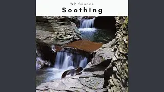 Sounds of Joy Vibes