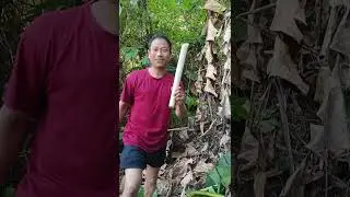 My first vlog video 🥳ka rukom wad Pashor Kait😜😄#vlogging#viralvideos#vlogvideo