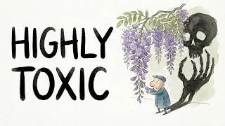 The Poisonous History of Wisteria