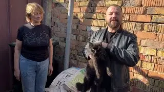 В помощь приюту &laquo;РУКАВИЧКА&raquo;  Благотворительная Организация &laquo;ФАУНА БЛАГО&raquo;