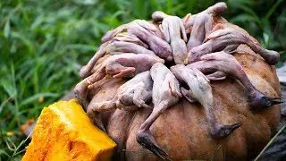 Survival Skills Cooking Birds in Pumpkin - Roasted Birds Eating Delicious