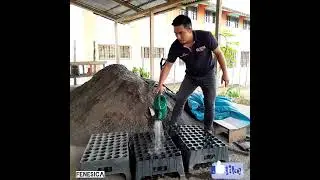 ¿Cómo llenar sustrato en tubetes para la producción de plantones Forestales, Café y otros?