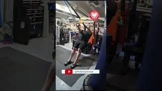 TRX Rows = Instant Back Gains? 💪 Build Muscle Anywhere!