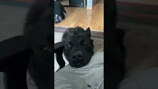 Джек прилип
