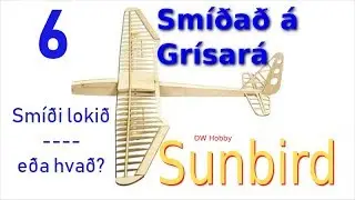 DW Hobby Sunbird 06