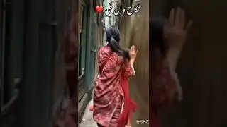 Lahore ki nikah wali Gali #lahore #funny #video #viral #foryou #india #pakistan #dubai  #australia