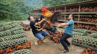 Man Sells His Giant Wild Chickens at the Market — Buying Water Turbine Generator for Next Project
