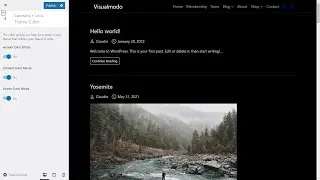 How To Enable Dark Mode On WordPress Using Anzu Free WordPress Theme?