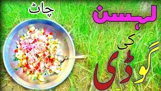 Garlic Digging||&lrm;لہسن کی کھدائی||Lasun Ki Godi||Green Safar