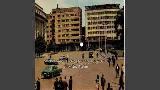 Тих бял Дунав