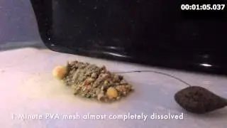 Fishing; PVA Mesh stick dissolve test : Carp Fishing Rig