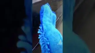 Norwex&rsquo;s Car Wash Mitt