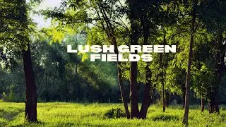 LUSH  GREEN  FIELDS  PART II