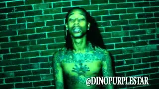 DINO PURPLESTAR -FREESTYLE (VIDEO)