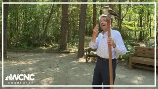 Larry Sprinkle goes inside the Carolina Raptor Center