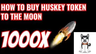 Buy Husky Token Step-by-step Process for Massive Gains.