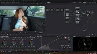 Davinci Reslove Color