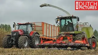 Claas Jaguar 950 Shredlage + Case Optum 270 - Mais hakselen - Maisernte - Maize harvest - 2018